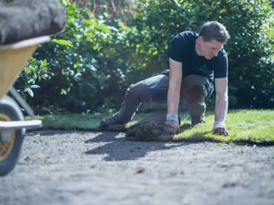 Onkruid, broei en bloemetjes: dit zegt je gazon