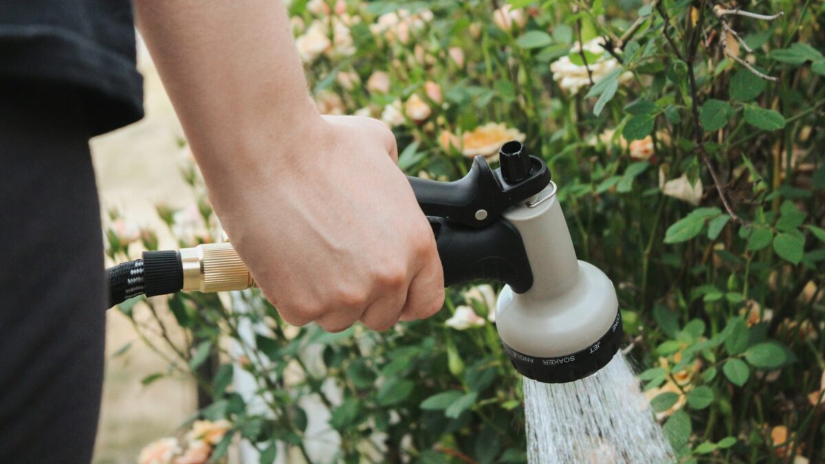 4 Onderhoudstips voor je tuin