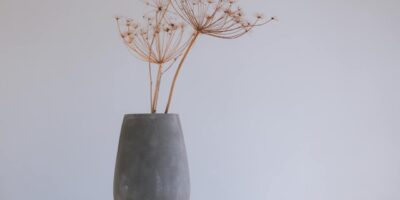 De kalme fusie: japandi en de schoonheid van organische vormen